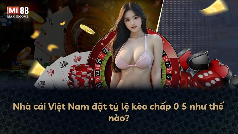Nhà cái Việt Nam đặt tỷ lệ kèo chấp 0 5 như thế nào?